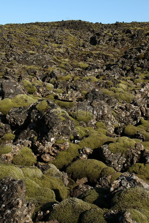 熔岩区,冰岛的风景,火山