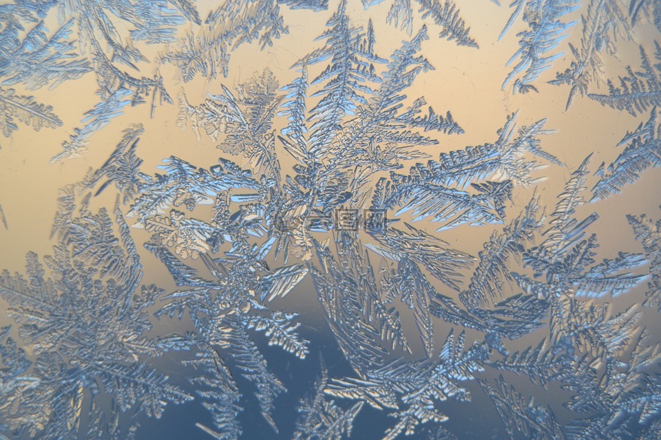 雪晶,冬天,严寒