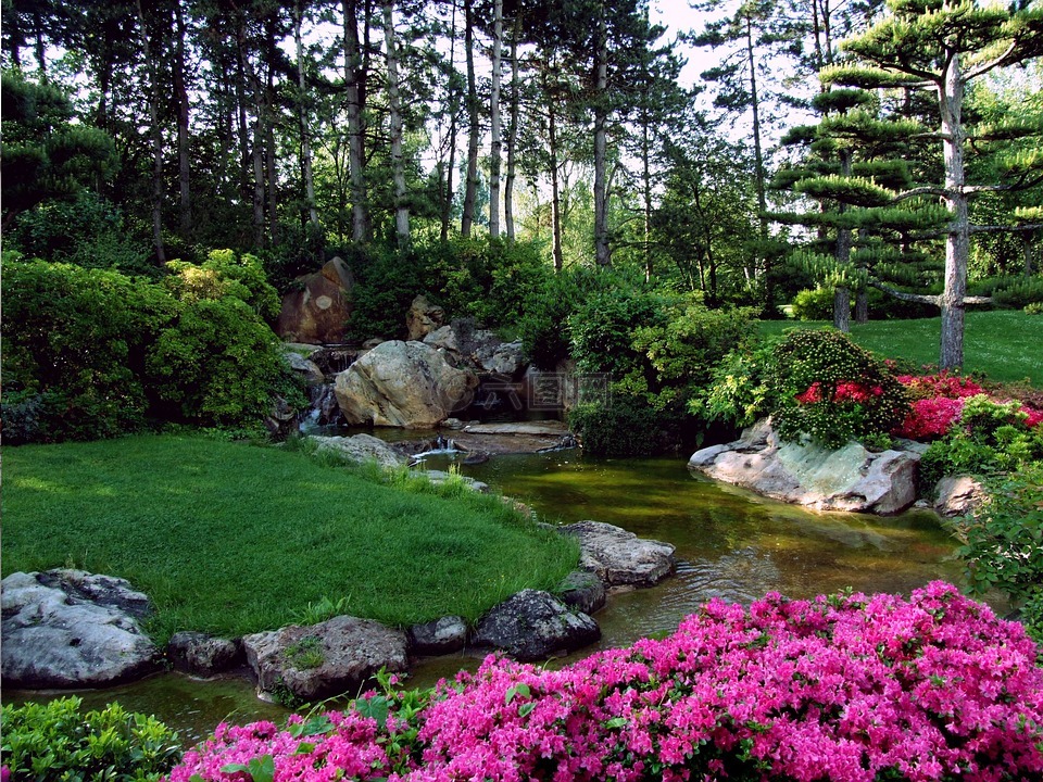 景观,日本花园,观赏花园