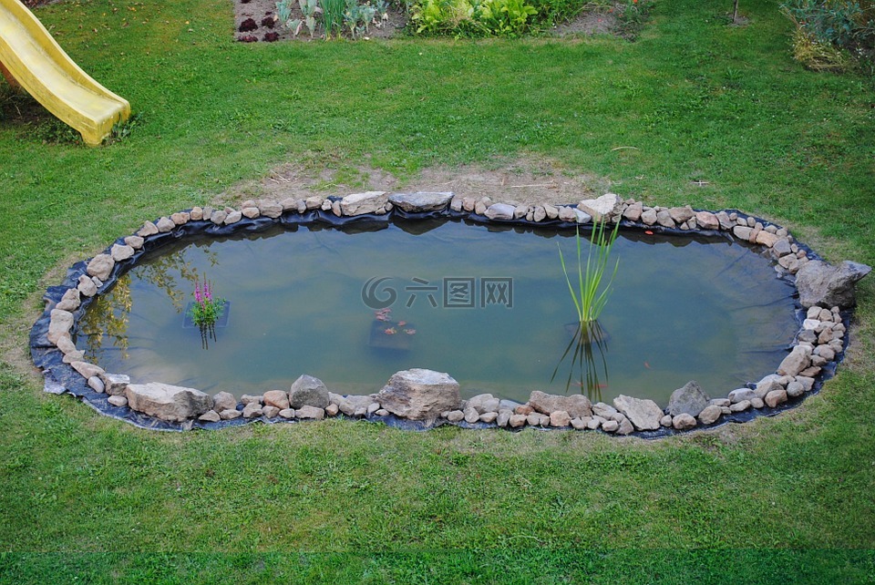 池塘,花园,水