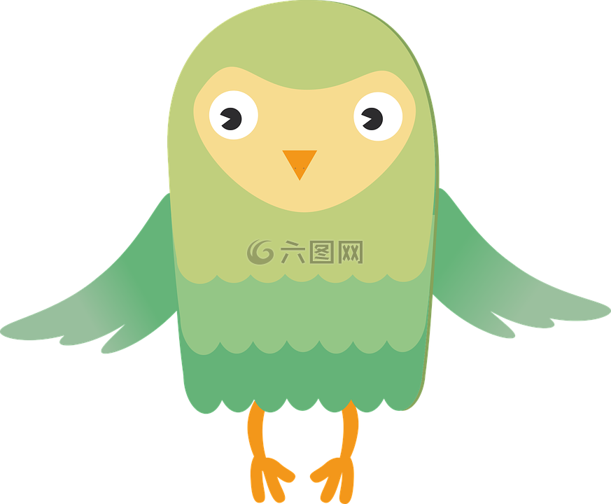 猫头鹰,鸟,绿色