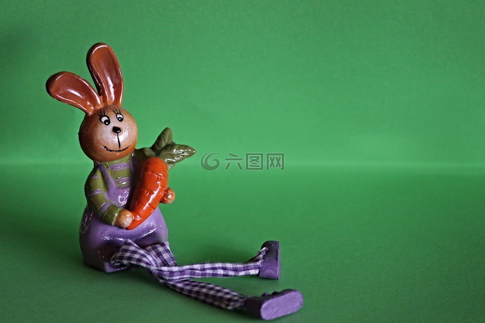 野兔,胡萝卜,可爱