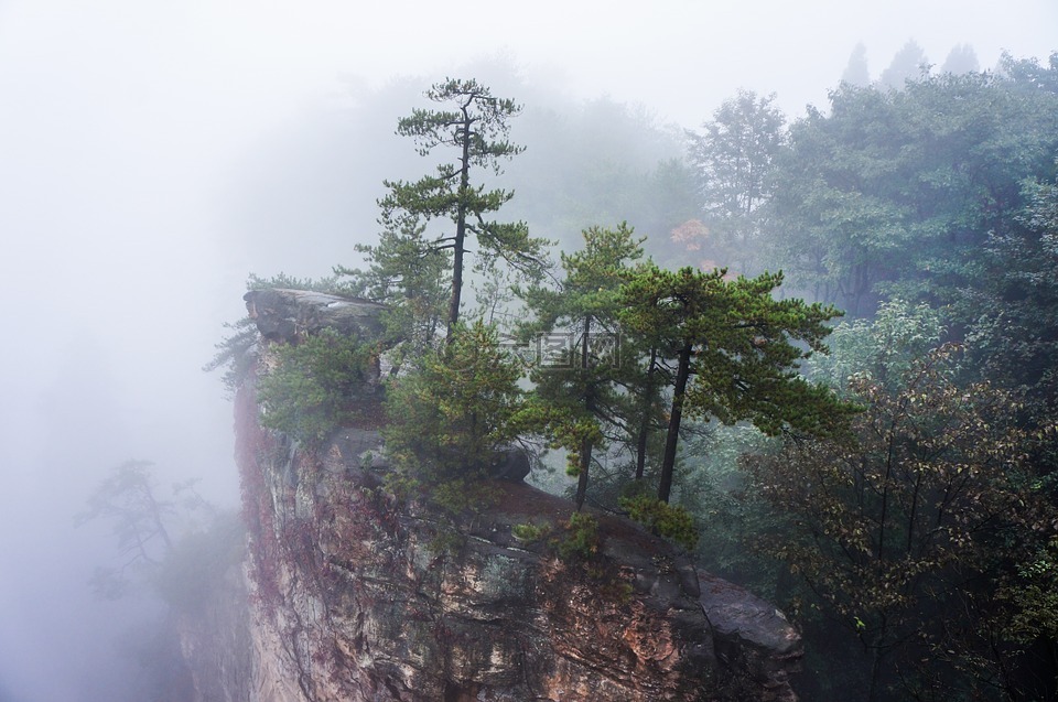 中国,张家界国家公园,雾