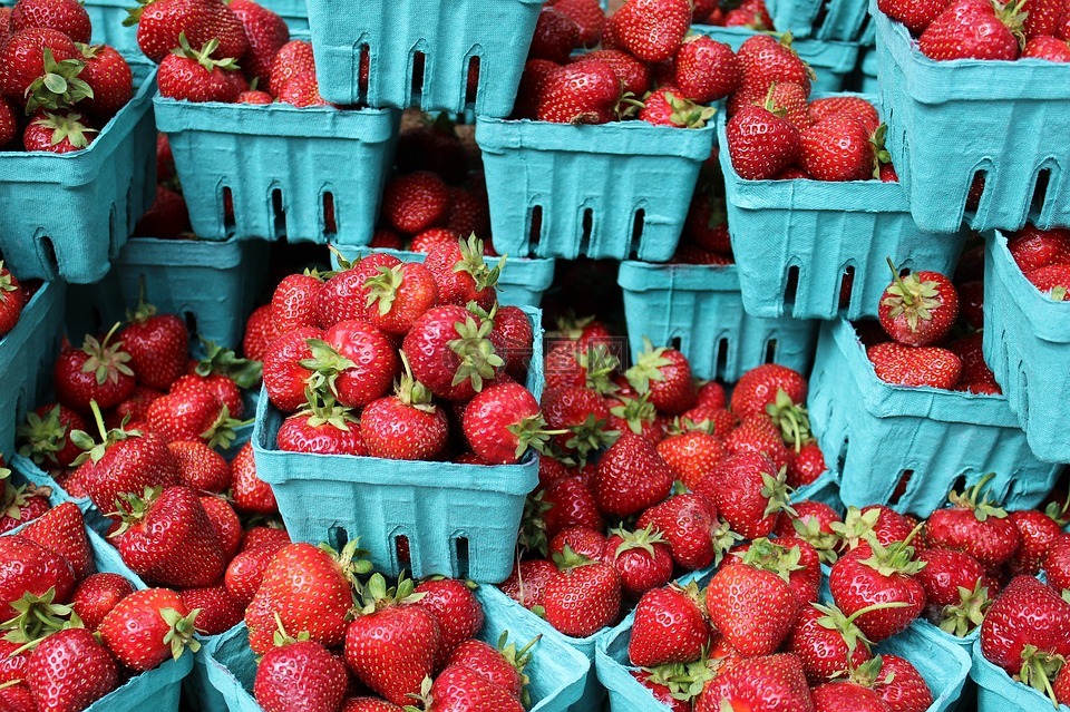 草莓,浆果,新鲜