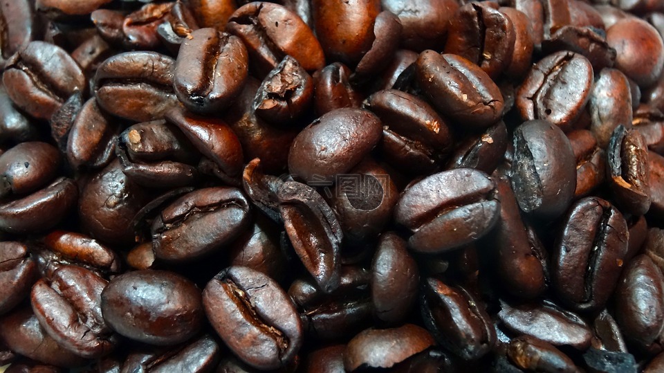宏观咖啡豆,咖啡豆,特写