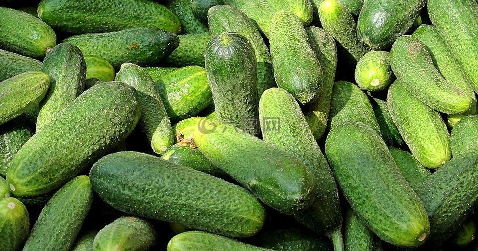 黄瓜,农民和地方市场,蔬菜市场