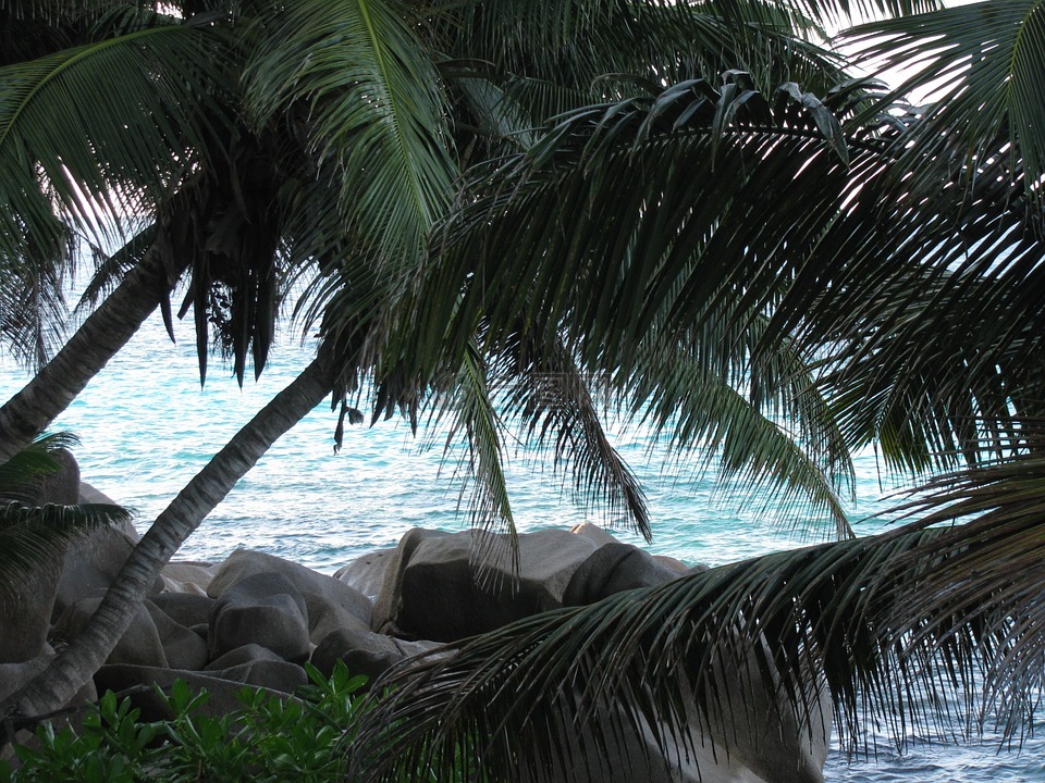 塞舌尔,la digue,海