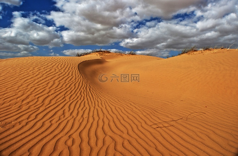 沙丘,沙,景观