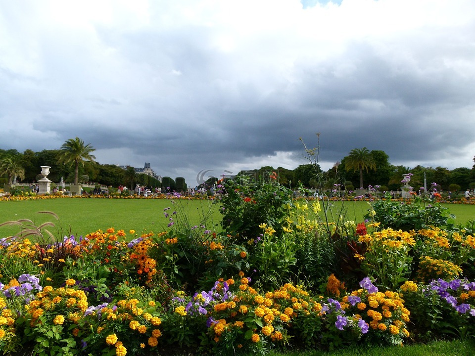 卢森堡,鲜花,公园
