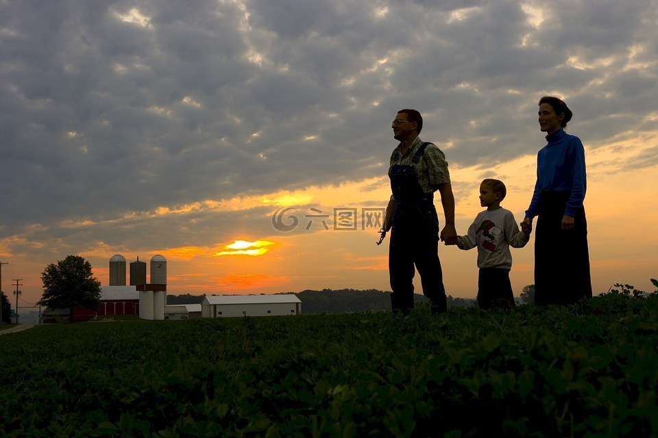 家庭,农场,日落