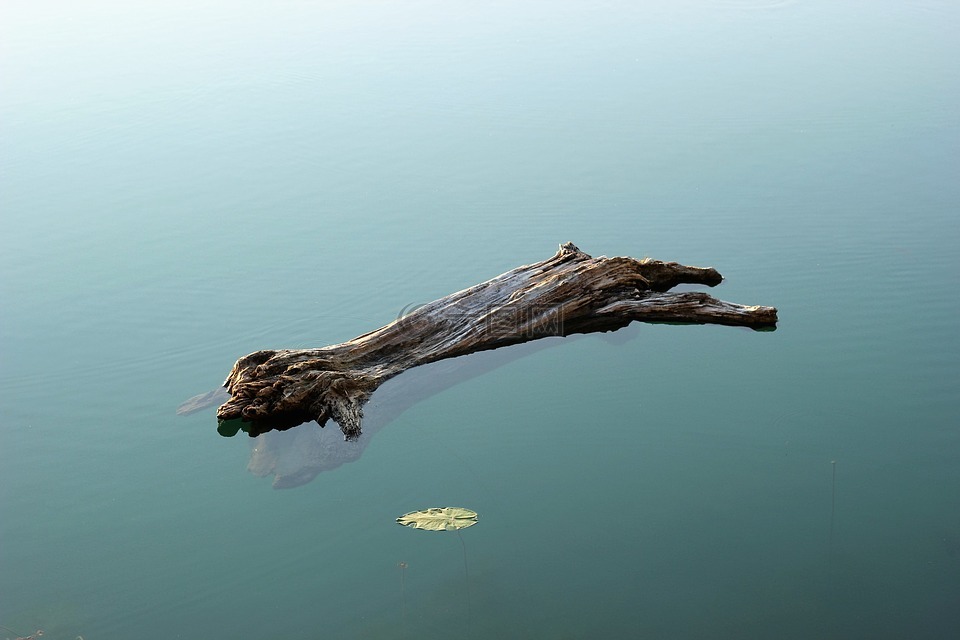 木头在水,重,湖