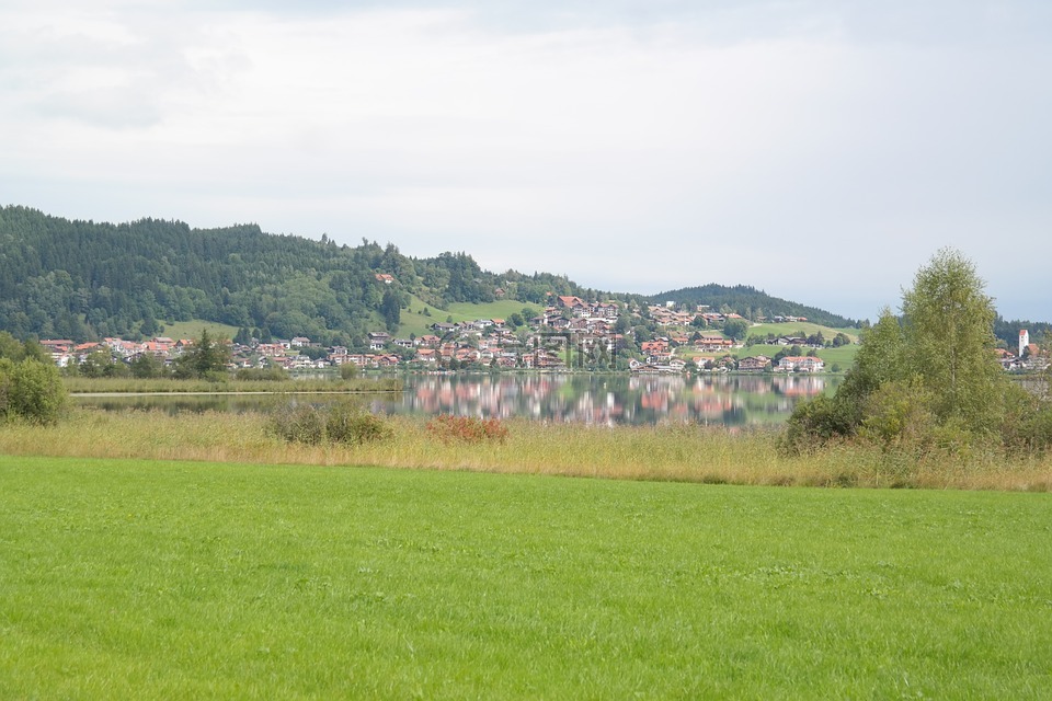 跳上湖,村,社区