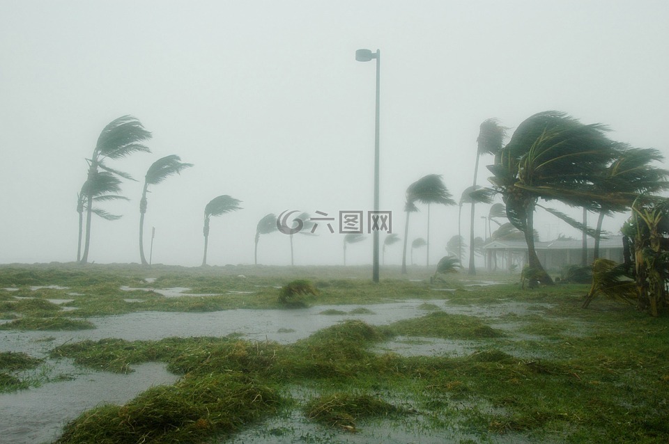 基韦斯特,佛罗里达,飓风丹尼斯