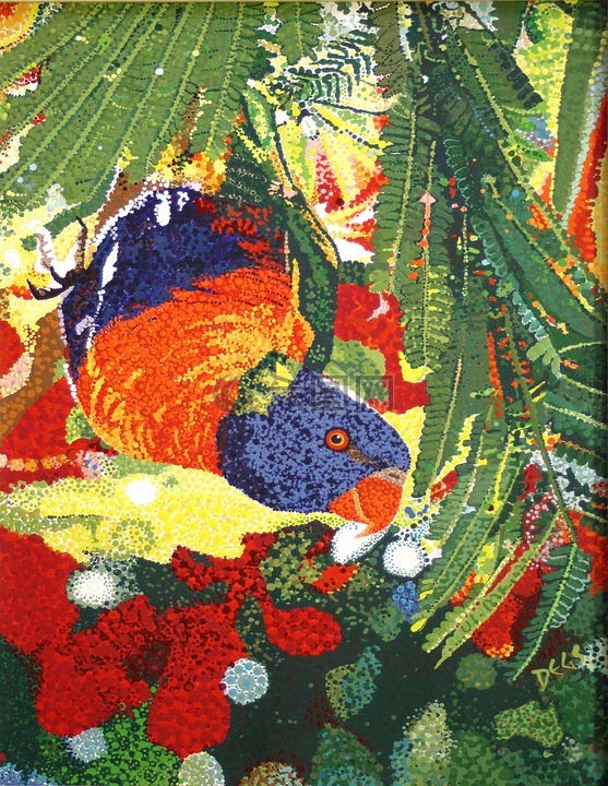彩虹澳洲鹦鹉,伞树,澳大利亚