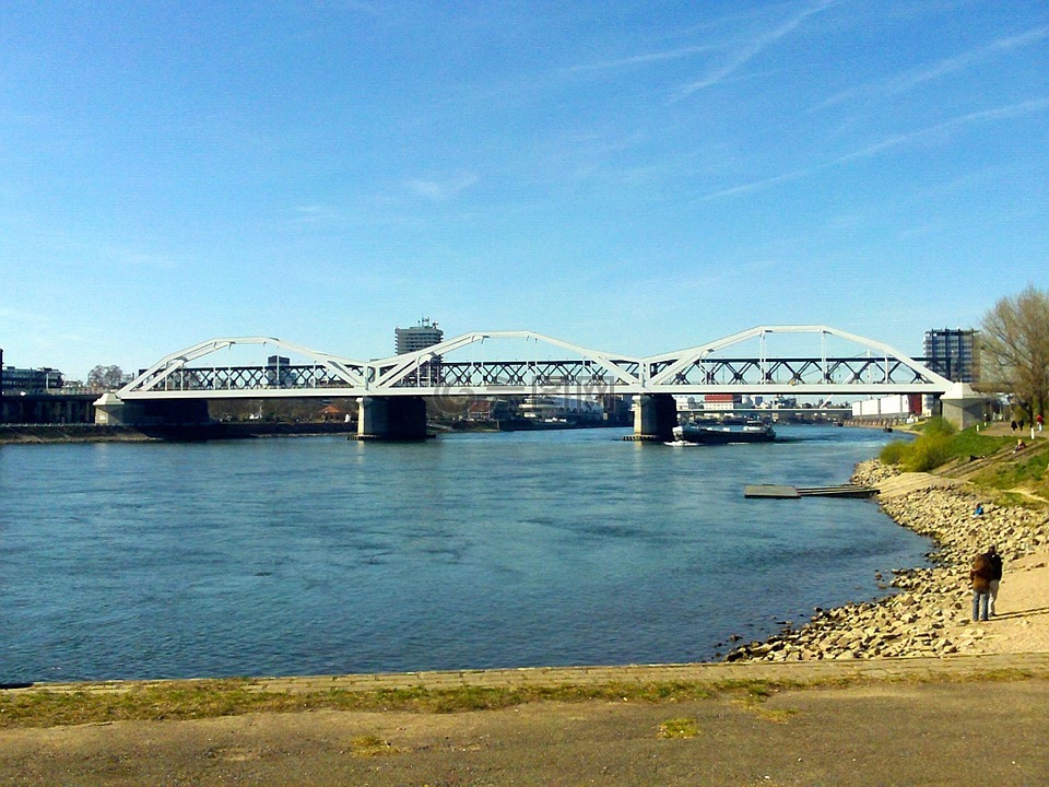 rheinbrücke,莱茵,河道景观