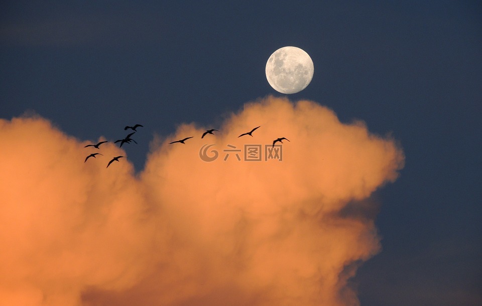 月亮,天空,云