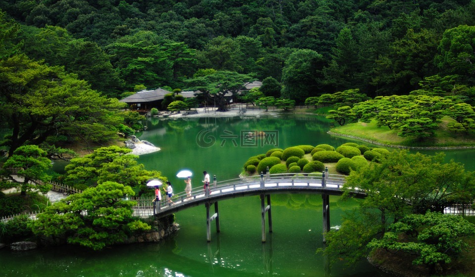 日本,日本花园,桥