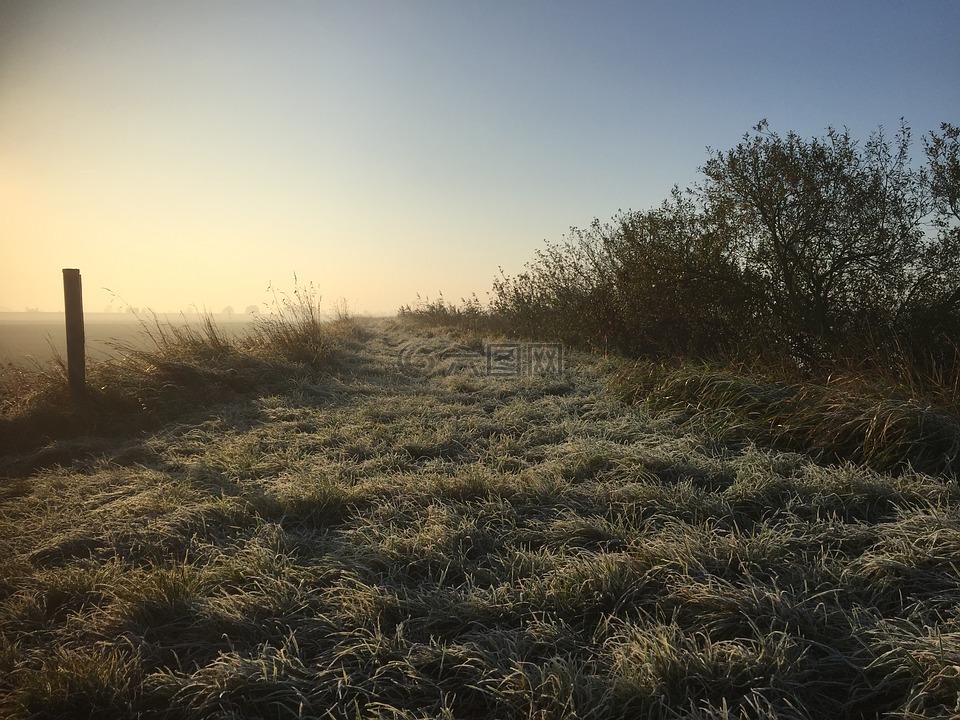 路径,露水,冷冰冰