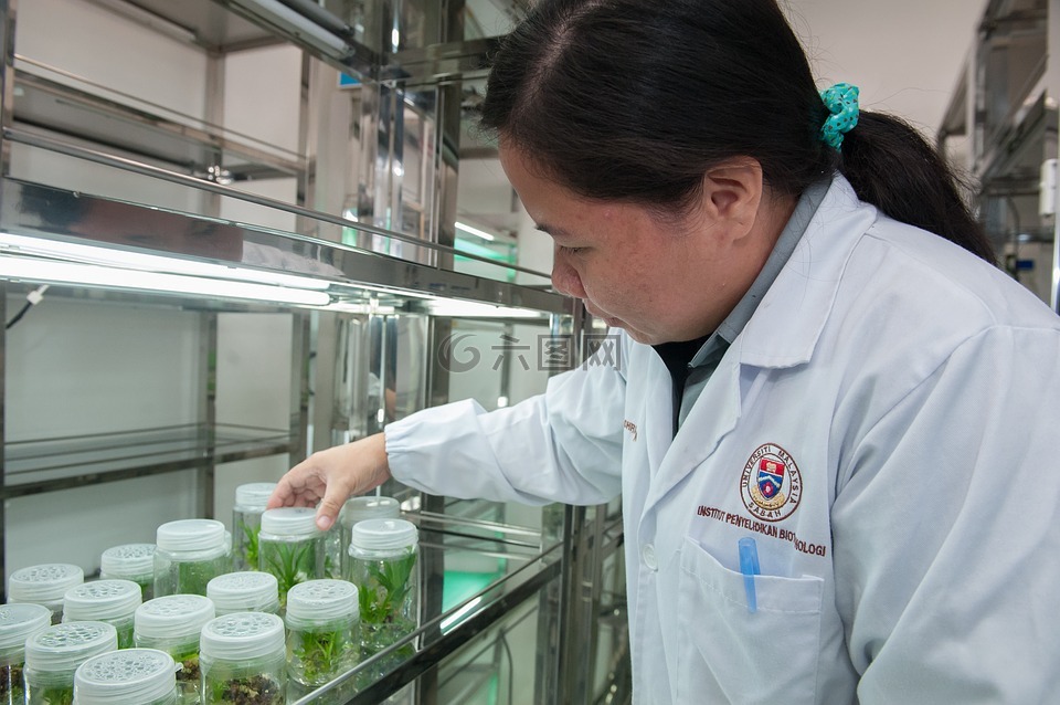 植物組織培養設施,生物技術研究所,大學馬來西亞沙巴州