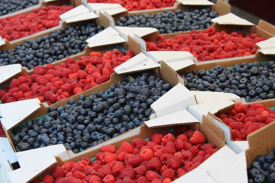 覆盆子,蓝莓,浆果