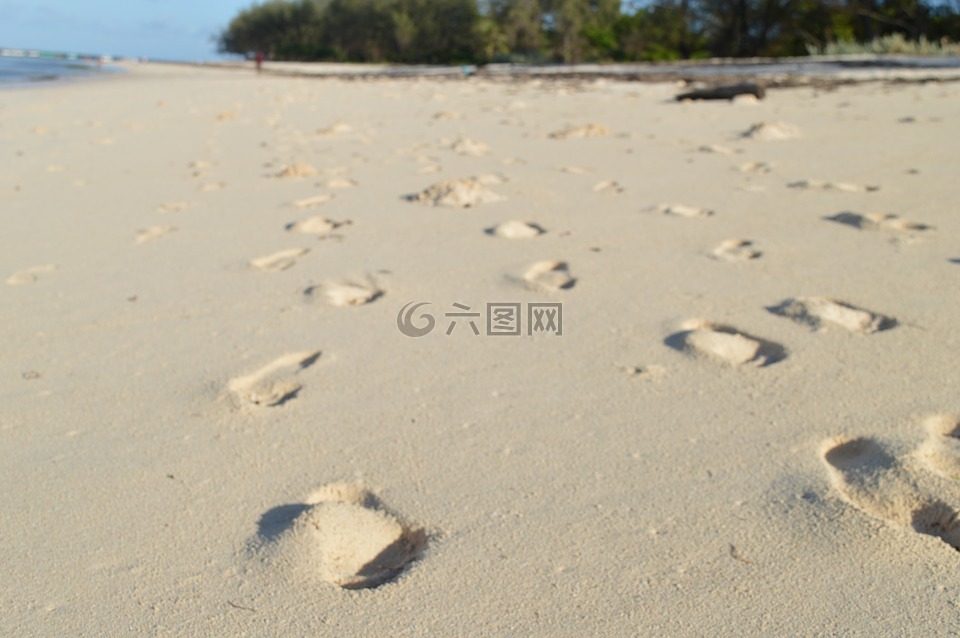 脚步声,沙,海滩