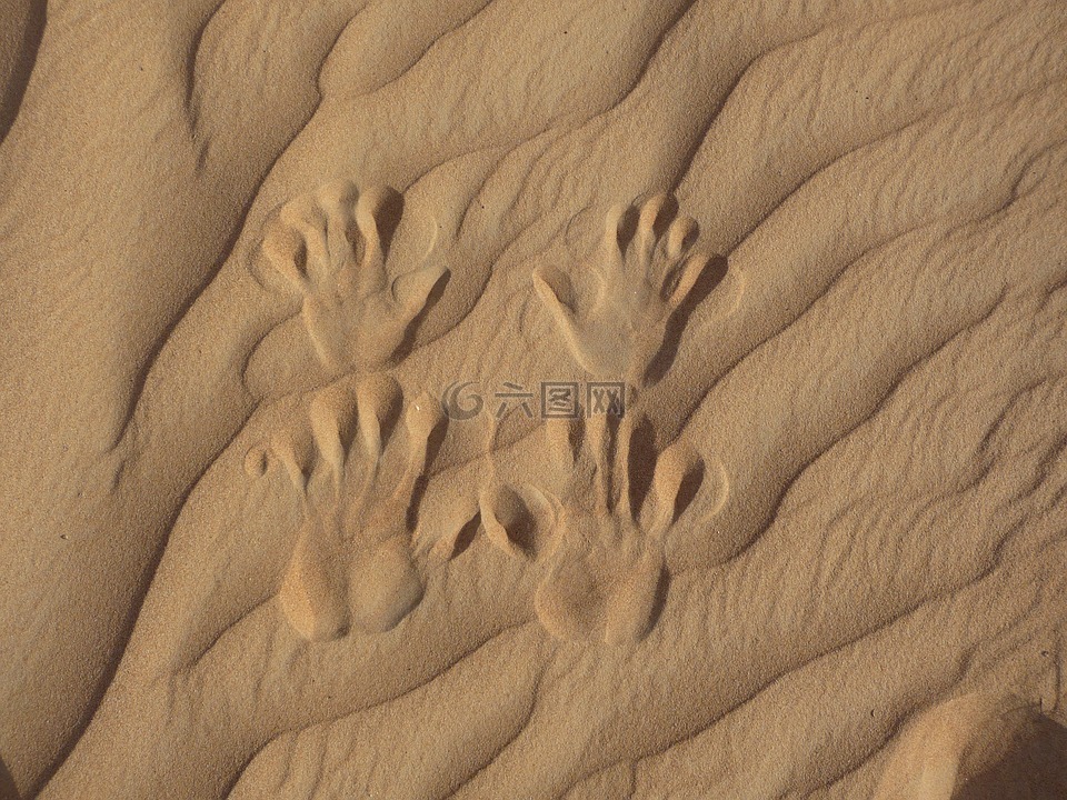 沙漠,在沙子里的曲目,手印在沙滩