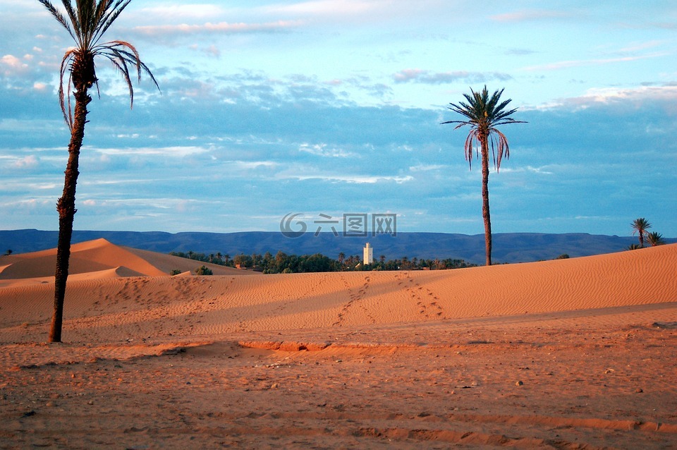摩洛哥,非洲,沙漠