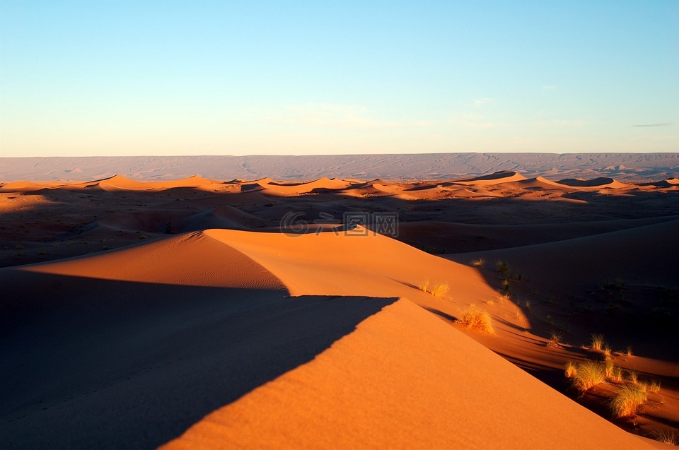 摩洛哥,非洲,沙漠