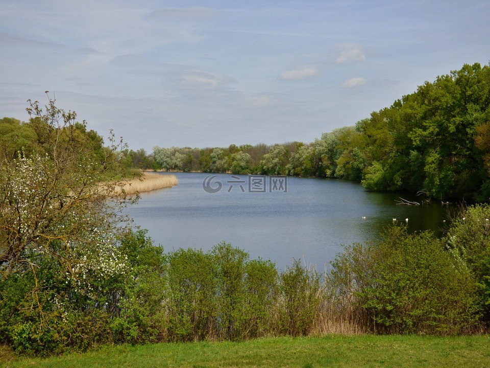 čičovské,mrtvé,手臂