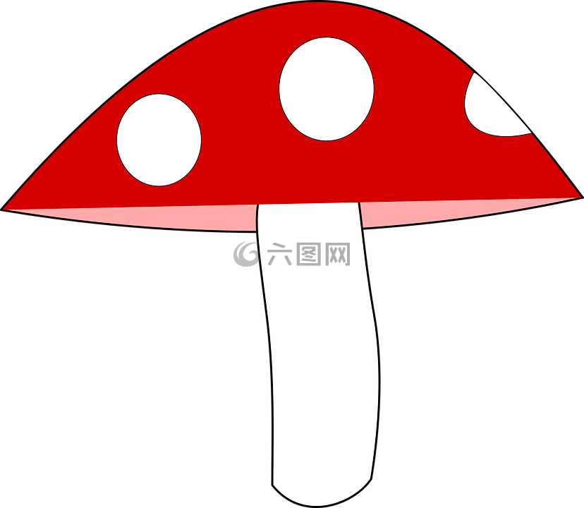 蘑菇,伞菌,森林