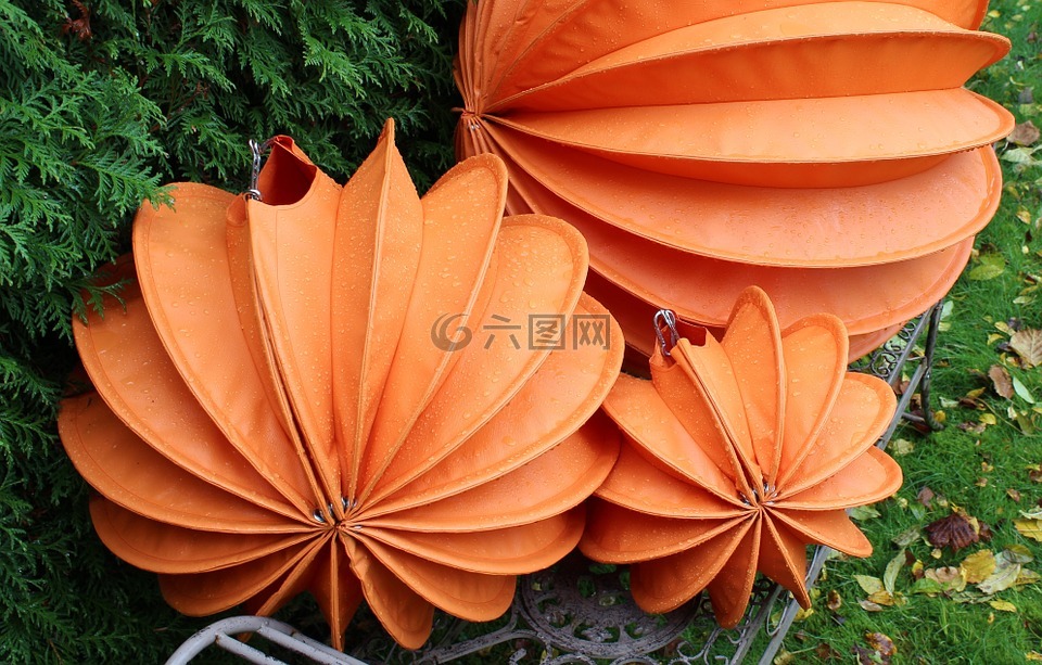 lampion,黄色,夏季