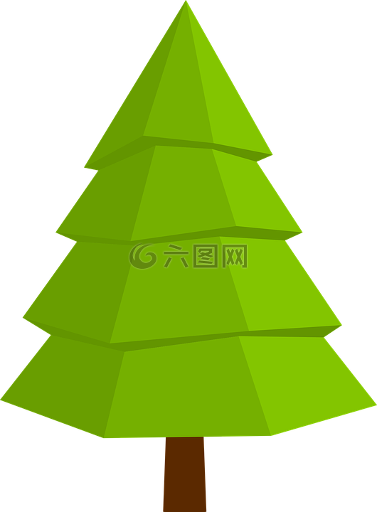 杉木,圣诞树,树