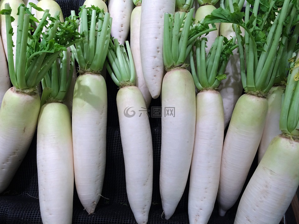 萝卜,蔬菜,西友百货有限公司