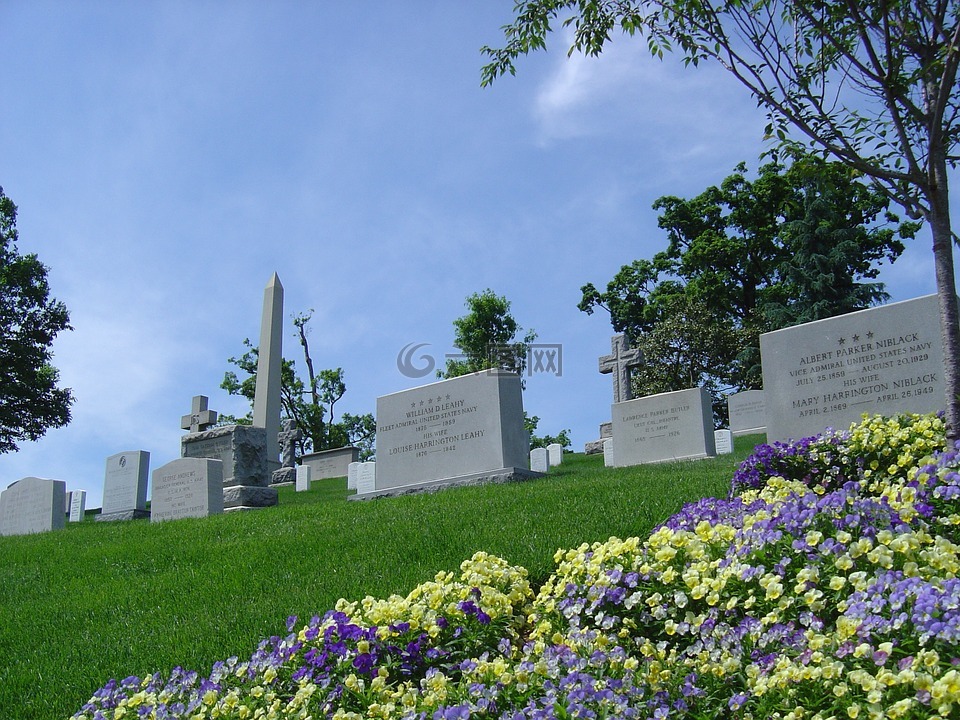 公墓,坟墓,阿灵顿