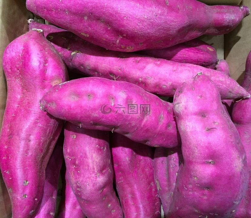 甘薯,红薯,紫色