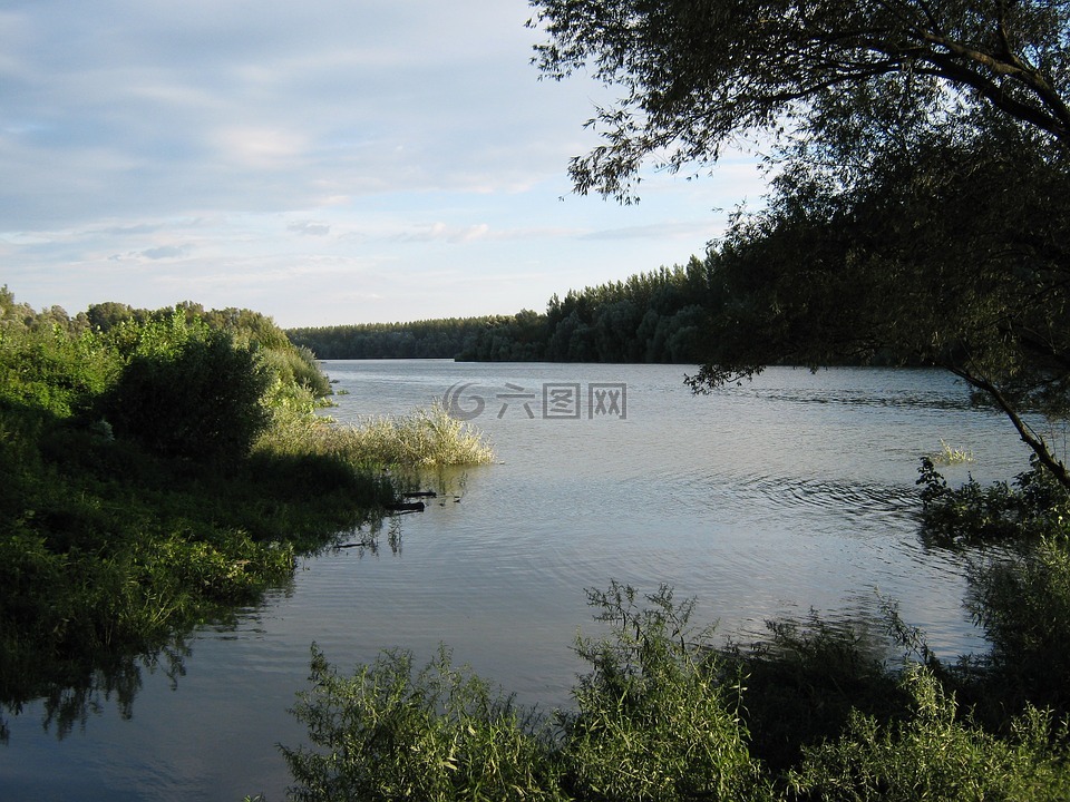 多瑙河,回水,分支机构