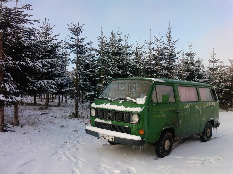 雪,绿色,卡车