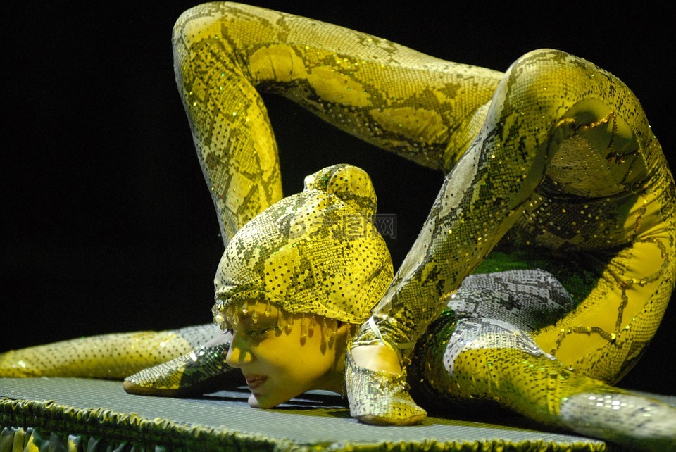马戏团,欧洲青年马2008年,蛇的人