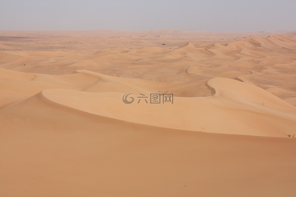 沙,沙漠,景观
