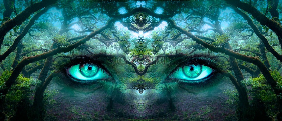 幻想,眼睛,森林