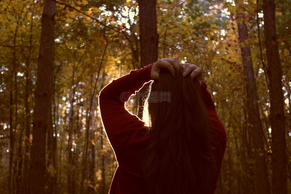 女孩,太阳,森林