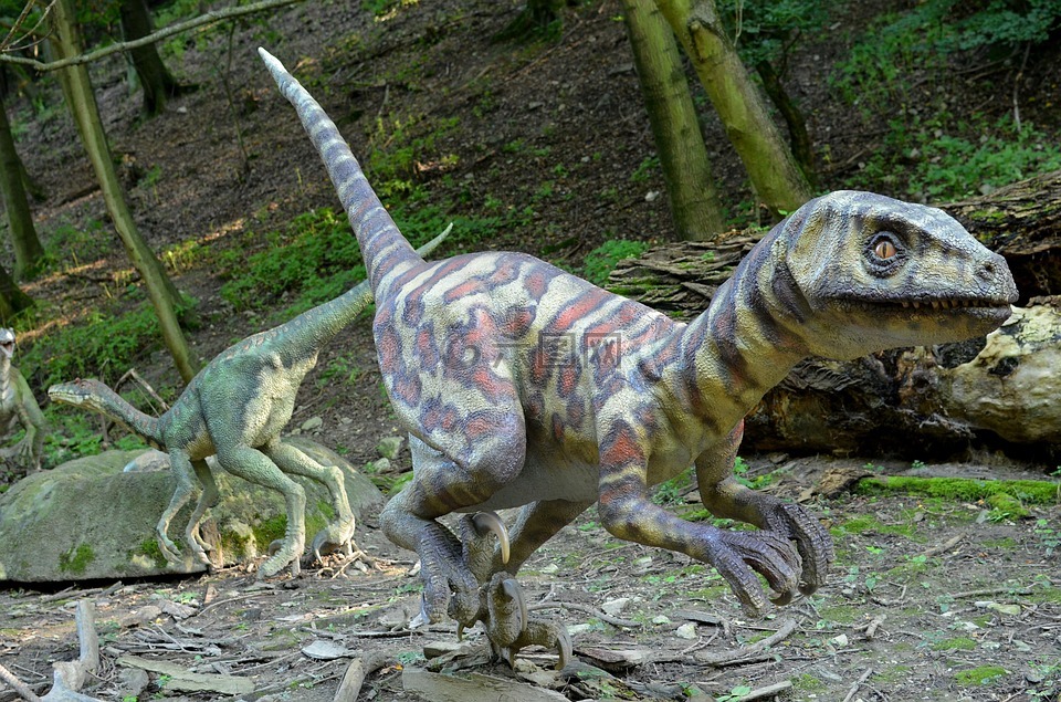 恐龙,dinopark,史前