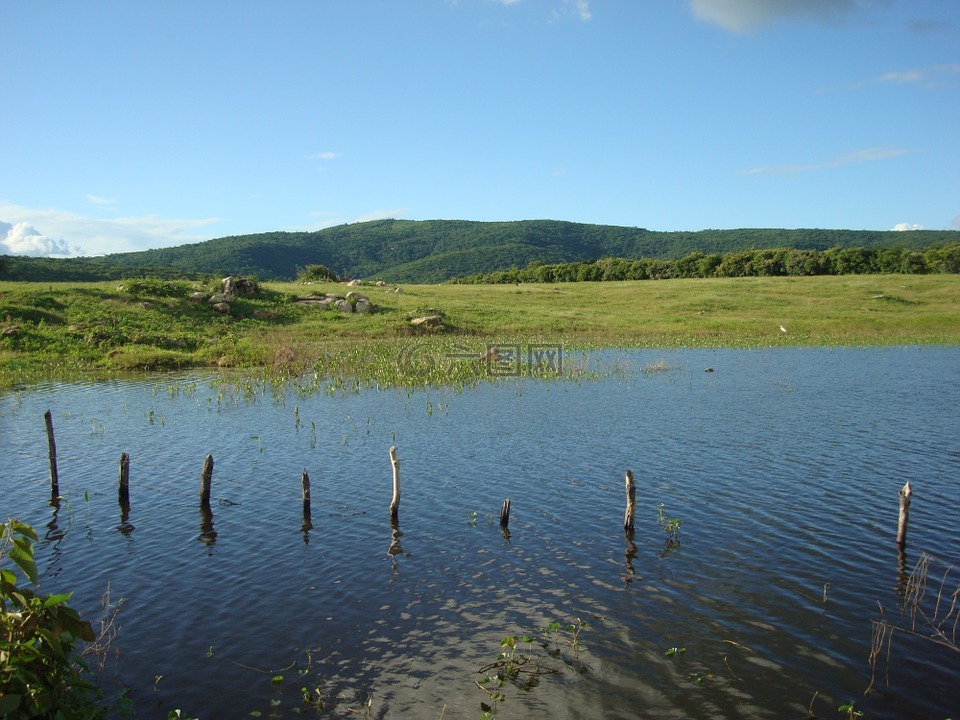 池塘,农村,uiraúna pb