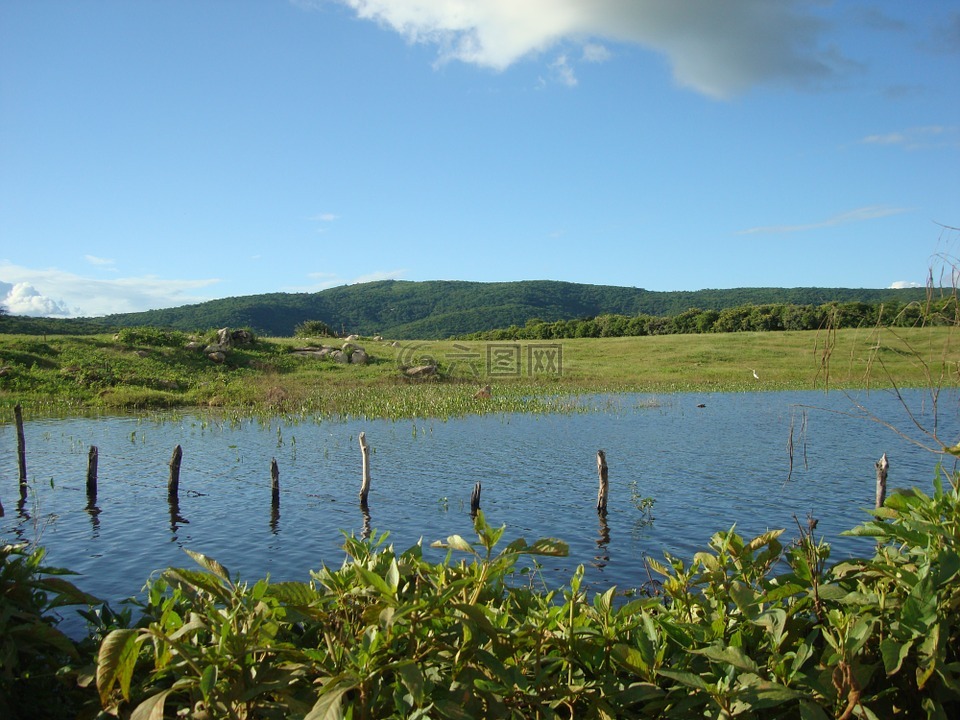 池塘,农村,uiraúna pb