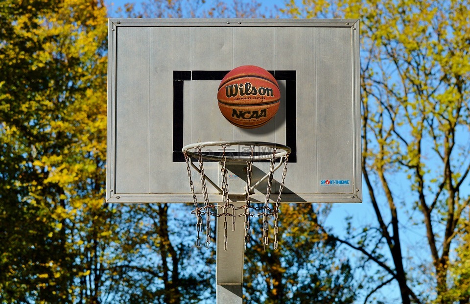 篮球架,篮球,球类运动