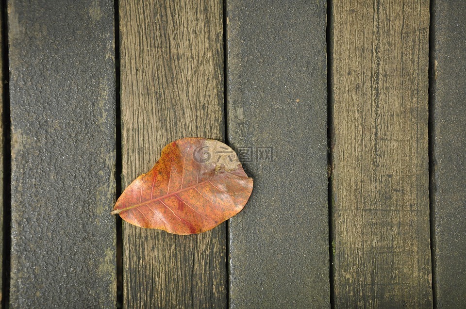 树叶,木板背景,秋天