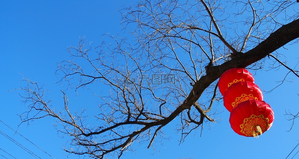 灯笼,中国红,喜庆