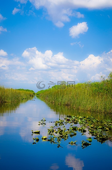 迈阿密,美国,大沼泽地