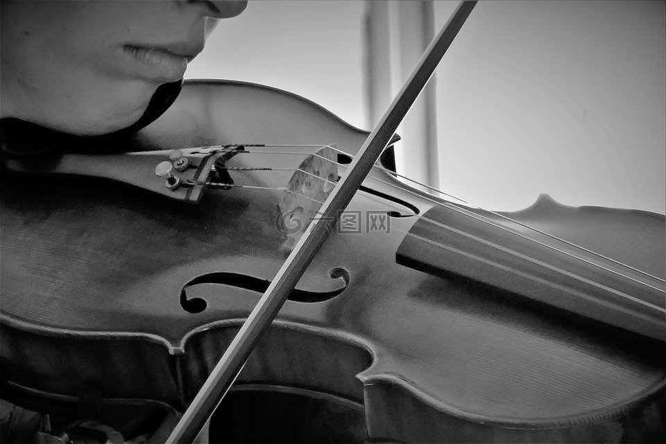 小提琴,乐器,音乐
