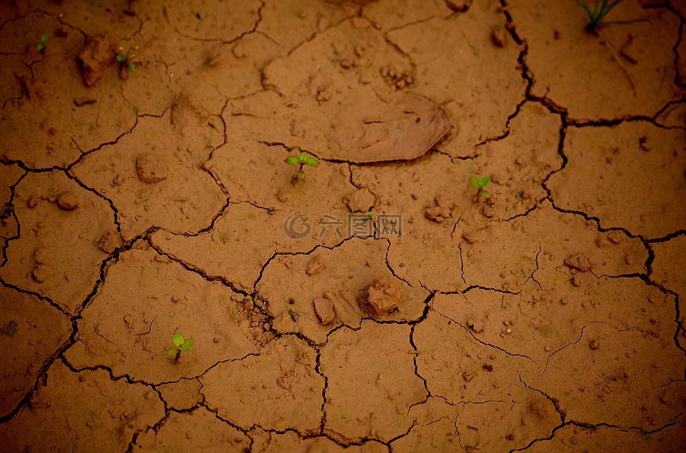 土壤,干旱,干